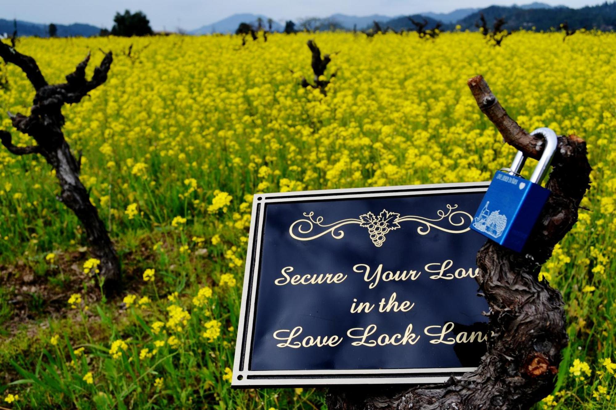 Chardonnay Lodge Napa Exterior foto