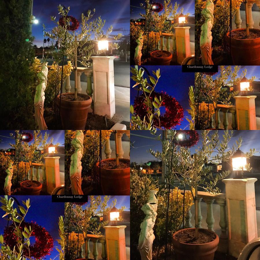 Chardonnay Lodge Napa Exterior foto
