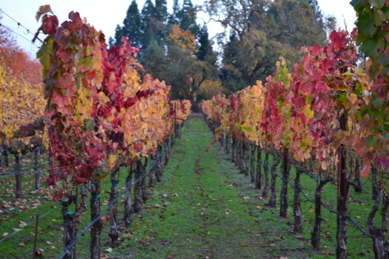 Chardonnay Lodge Napa Exterior foto